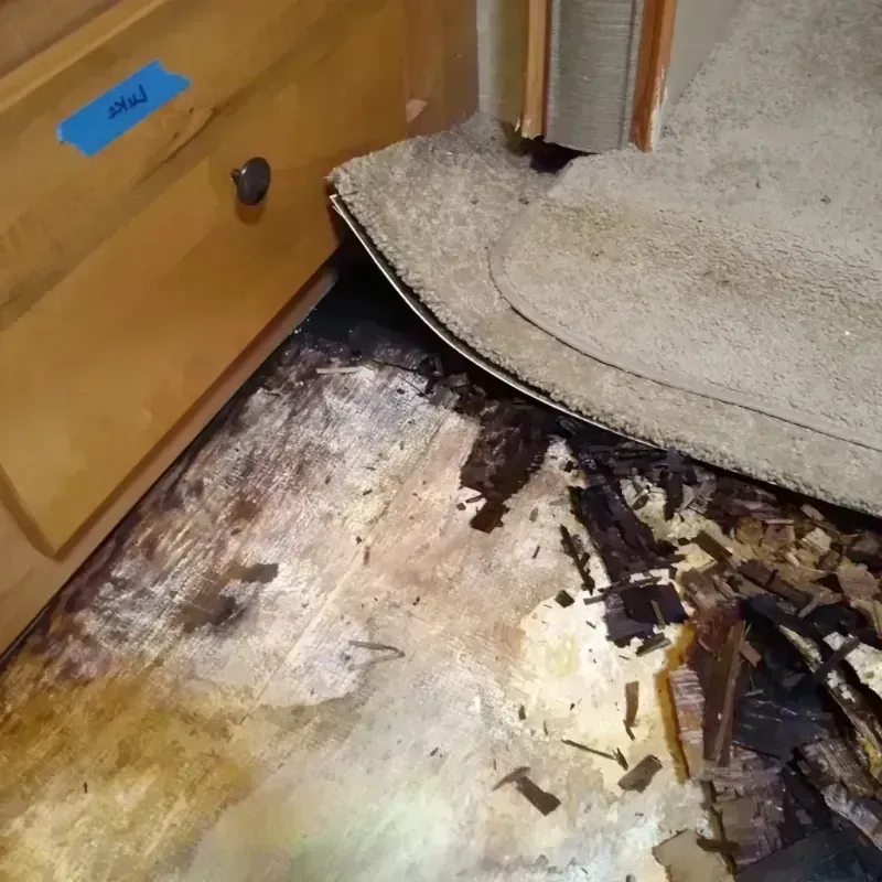 Wood Floor Water Damage in Hamburg, NJ